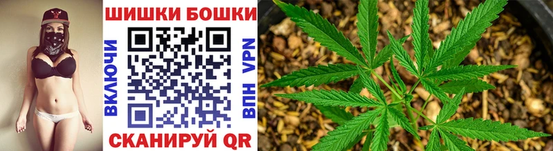 магазин продажи   Беломорск  Шишки марихуана SATIVA & INDICA 